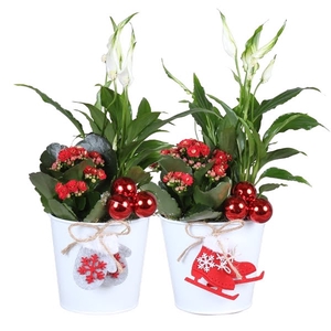 Christmas Arr. Indoor Zinc pot X-mas White ø12cm 2PP