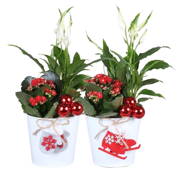 <h4>Christmas Arr. Indoor Zinc pot X-mas White ø12cm 2PP</h4>