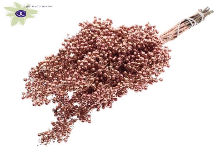 <h4>Pepperberries per bunch in poly copper</h4>