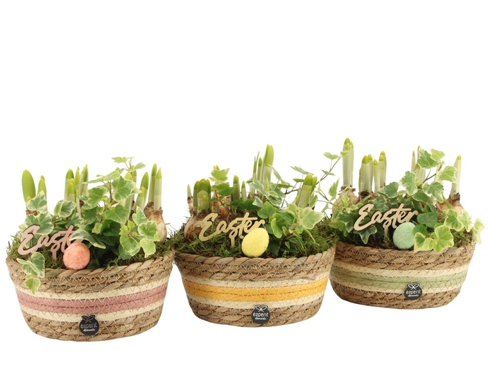 <h4>70914: Easter outdoor arrangement</h4>