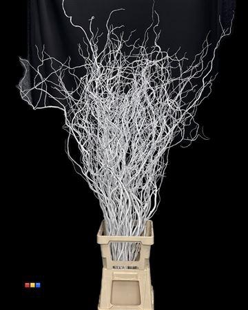 <h4>Salix 130cm White</h4>