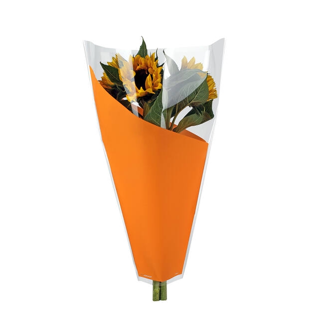 <h4>Slv 40x35x12cm OPP35 Angle orange</h4>