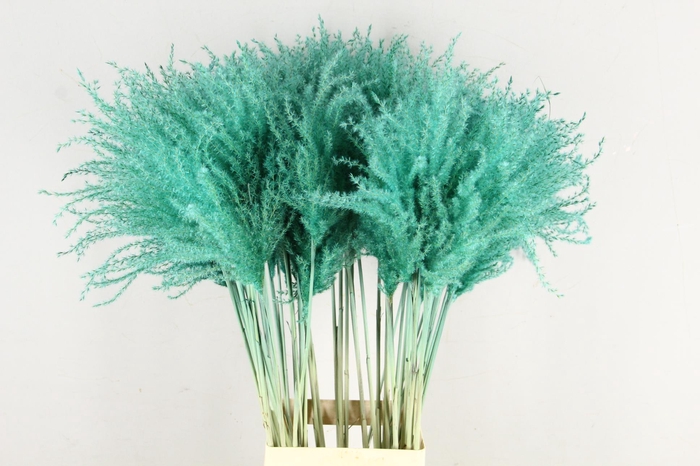 <h4>DF Miscanthus 90cm Aqua</h4>