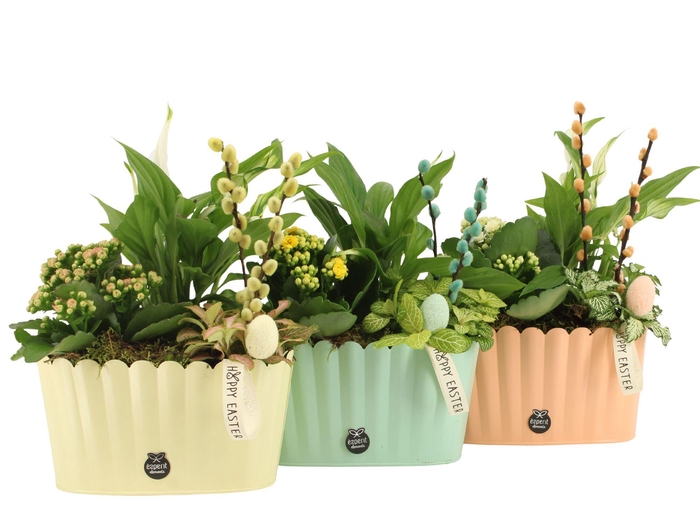 <h4>70754: Easter arrangement</h4>