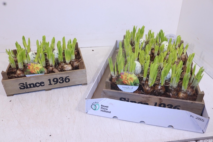 <h4>ARR N TETE A TETE</h4>