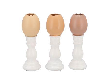 <h4>Easter Egg Trophy Natural Brown Mix Vase Ass 6x6x1</h4>