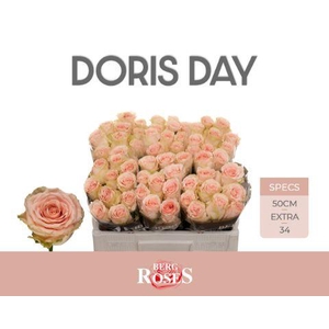 R GR DORIS DAY 034