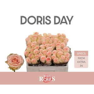 R GR DORIS DAY 034