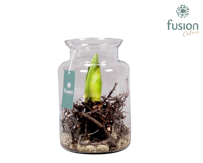 <h4>Melkbus met Amaryllis</h4>