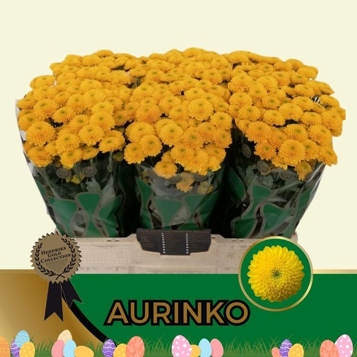 <h4>CHR SAN AURINKO</h4>