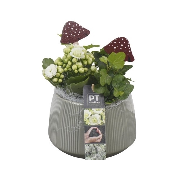 <h4>PTHI5533 Arrangement Herfst Indoor in keramiek pot</h4>