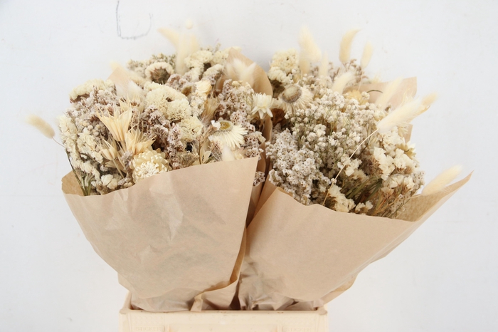 <h4>GEM BOEKET OV</h4>