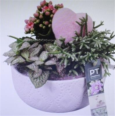 <h4>2299 Ker Roze Rond</h4>