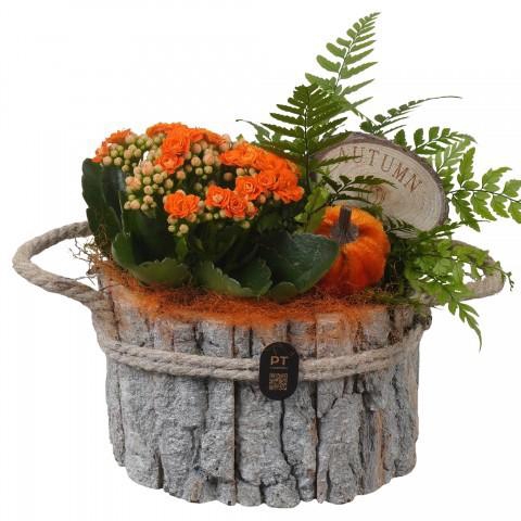 <h4>PTHI3336 Arrangement Autumn Indoor in houten bak</h4>