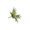 Silk Fern Staghorn In Pot Green 36cm