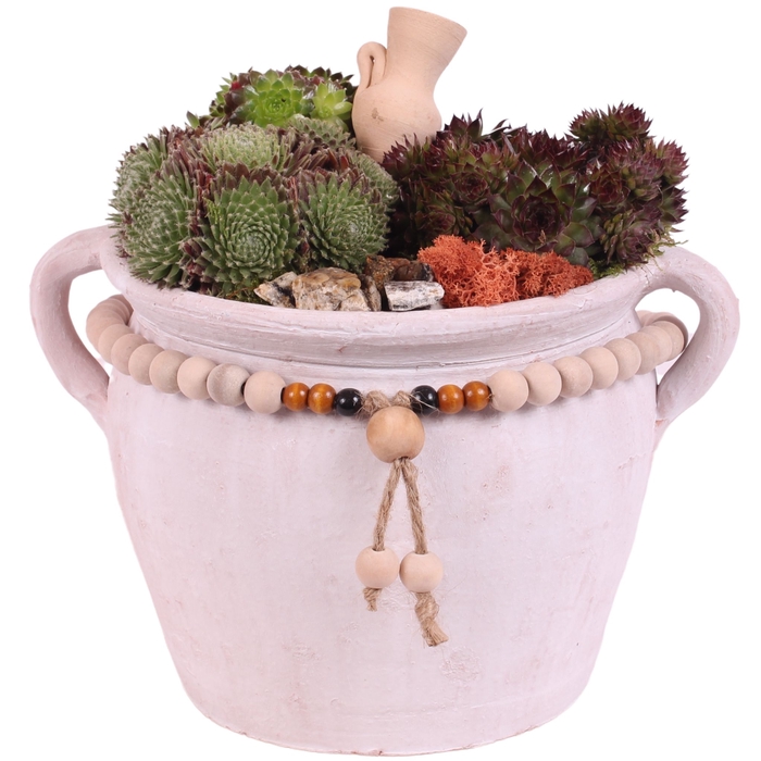 <h4>Opm Semp Arr. Outdoor Ceramic Pot Jug Beads</h4>