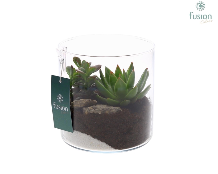 <h4>Glazen cilindervaas</h4>