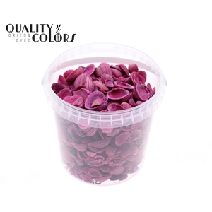 Shells north sea 1 ltr Cerise