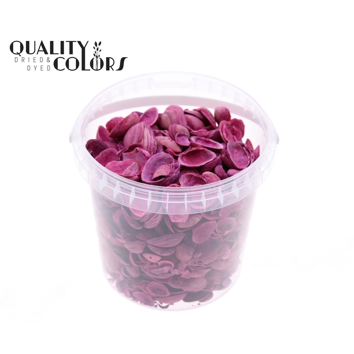 <h4>Shells north sea 1 ltr Cerise</h4>