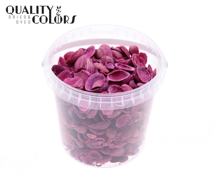 Shells north sea 1 ltr Cerise