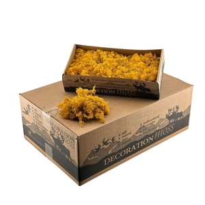Ijslandsmos Yellow Geel