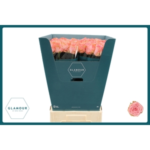 R GR SOPHIA LOREN GLAMOUR