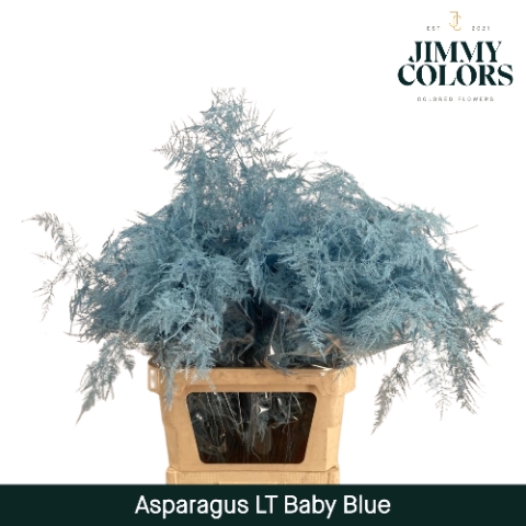 <h4>Asp lang getopt  Light blue</h4>