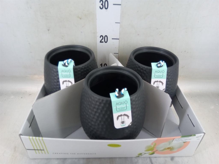 <h4>Pot   ...Keramische H%</h4>