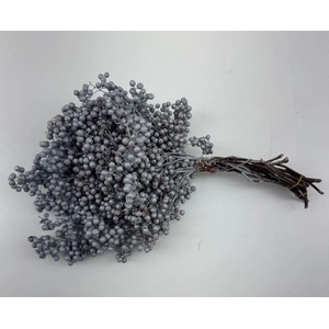 Schinus M Pt Titan Grey Bunch