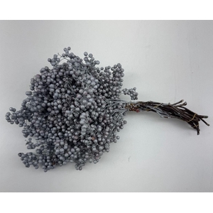 Schinus M Pt Titan Grey Bunch