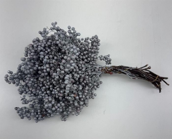 <h4>Schinus M Pt Titan Grey Bunch</h4>