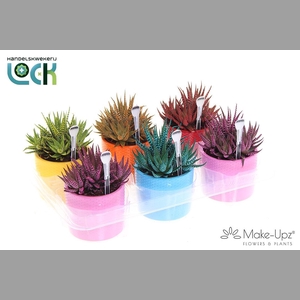 HAWO LI SPIDER WHITE