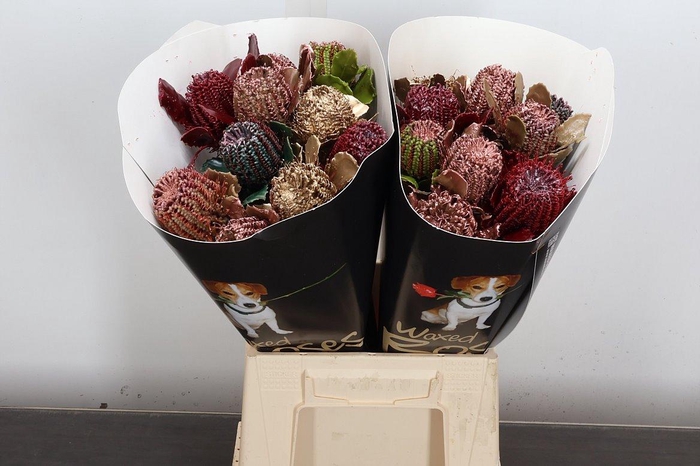 <h4>Banksia Wx Mixed Copper</h4>