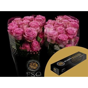 R Gr Queens Crown Box