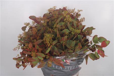 Pineneedles Copper Bag