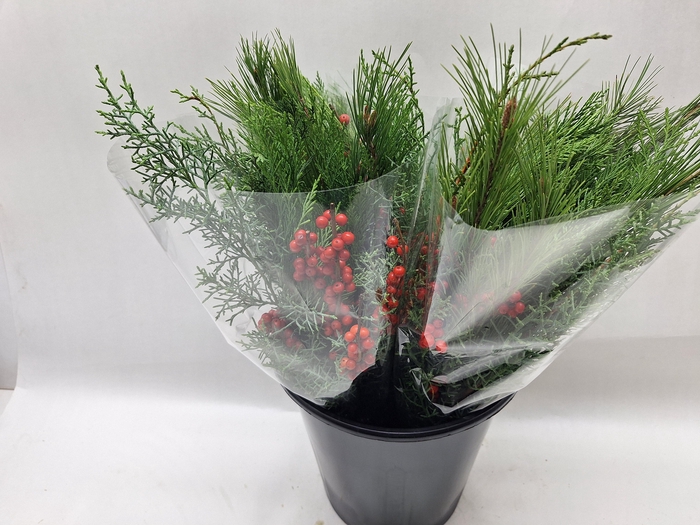 <h4>Boeket Advent</h4>