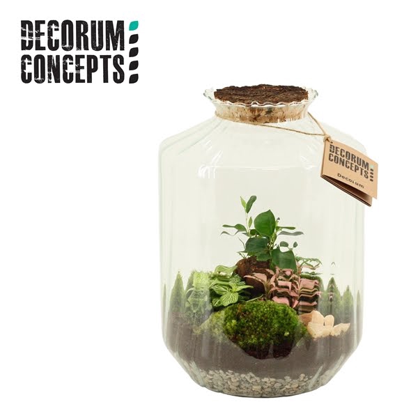 <h4>Terrarium Strepe (Decorum concepts)</h4>