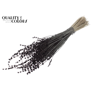Lavendel per bunch Black