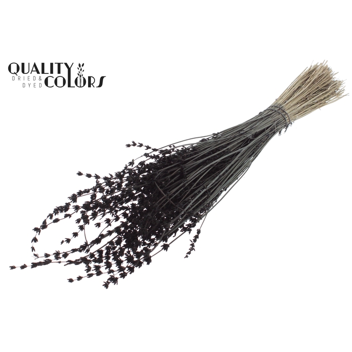 <h4>Lavendel per bunch Black</h4>
