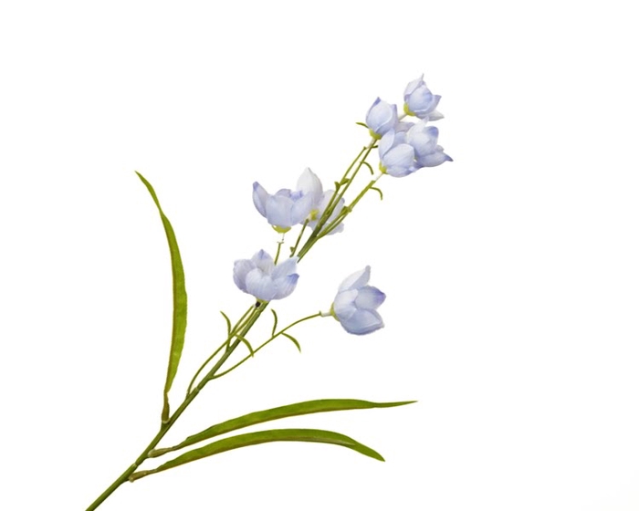 <h4>Campanula Blue Light</h4>