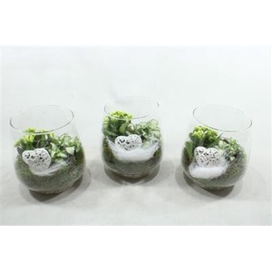 4949 Witte Druppelglaasje