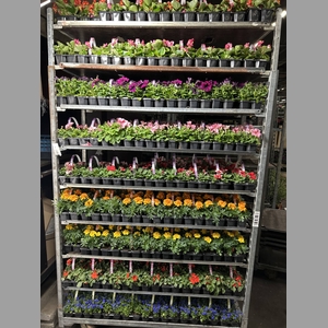 PERKPL MIXK 6 PACK