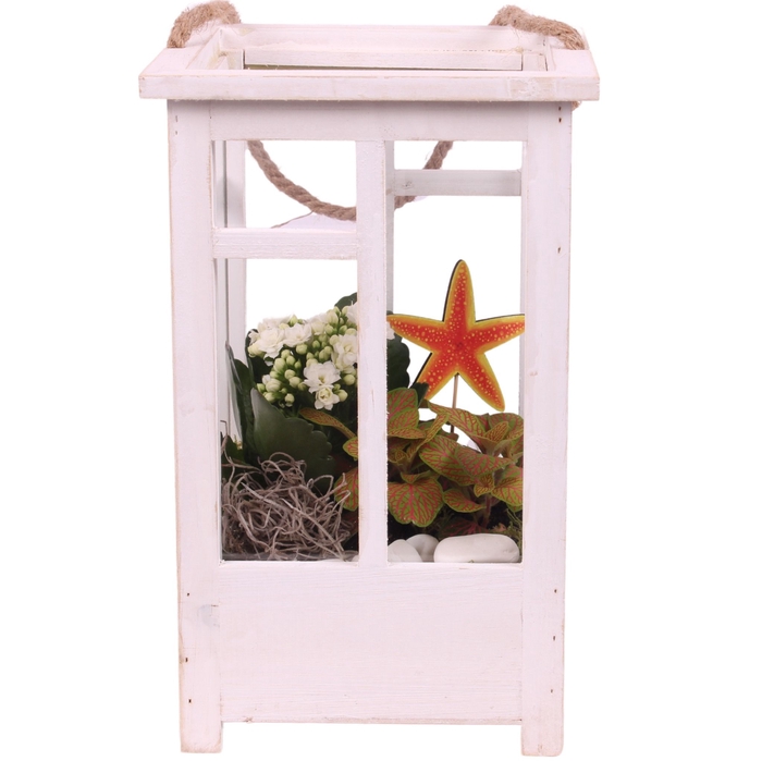 <h4>Opm Maritime Arr. Indoor Wooden Lantern White</h4>
