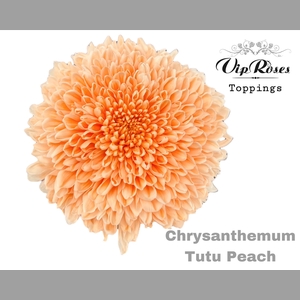 CHR G TUTU PEACH
