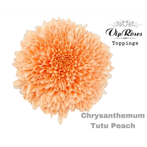 Chr G Tutu Peach