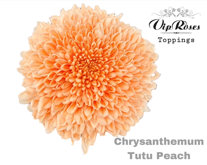 CHR G TUTU PEACH