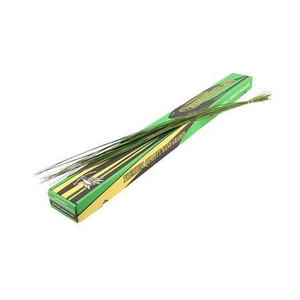 Xantorrhoea Steelgrass