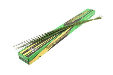 <h4>Xantorrhoea Steelgrass</h4>