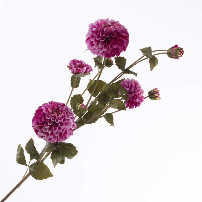 Dahlia Spray Beauty FL440362BEA