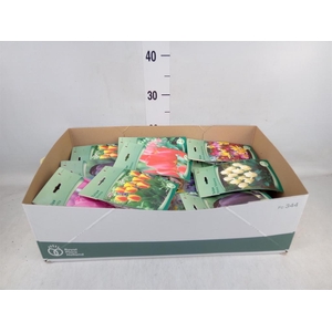 Flowerbulbs, corns or tubers   ...